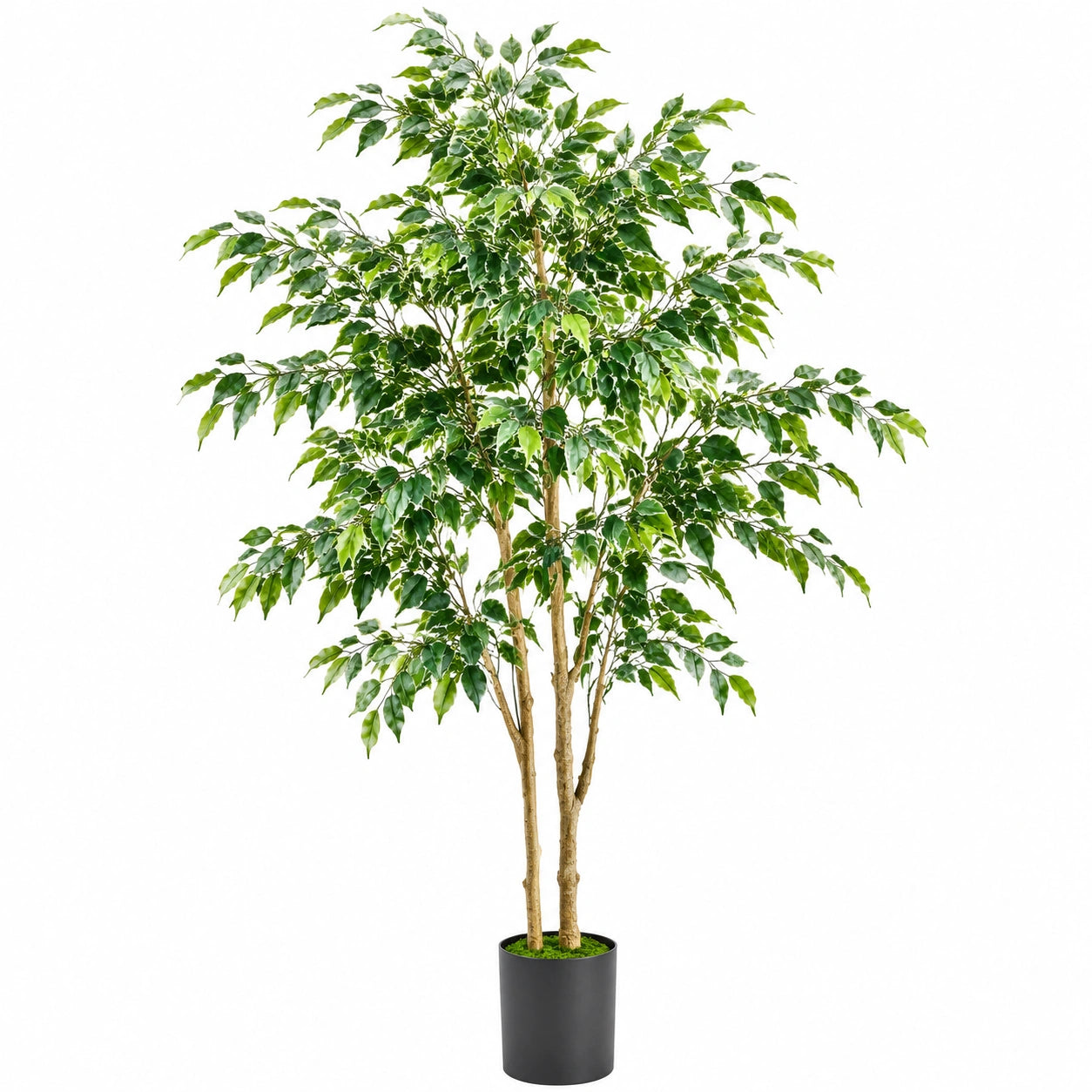 Plante artificielle ficus 180 cm vert en plastique avec pot noir décoratif
