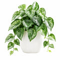 Plante verte artificielle 55 cm en plastique vert/blanc avec pot en céramique pour décoration intérieure
