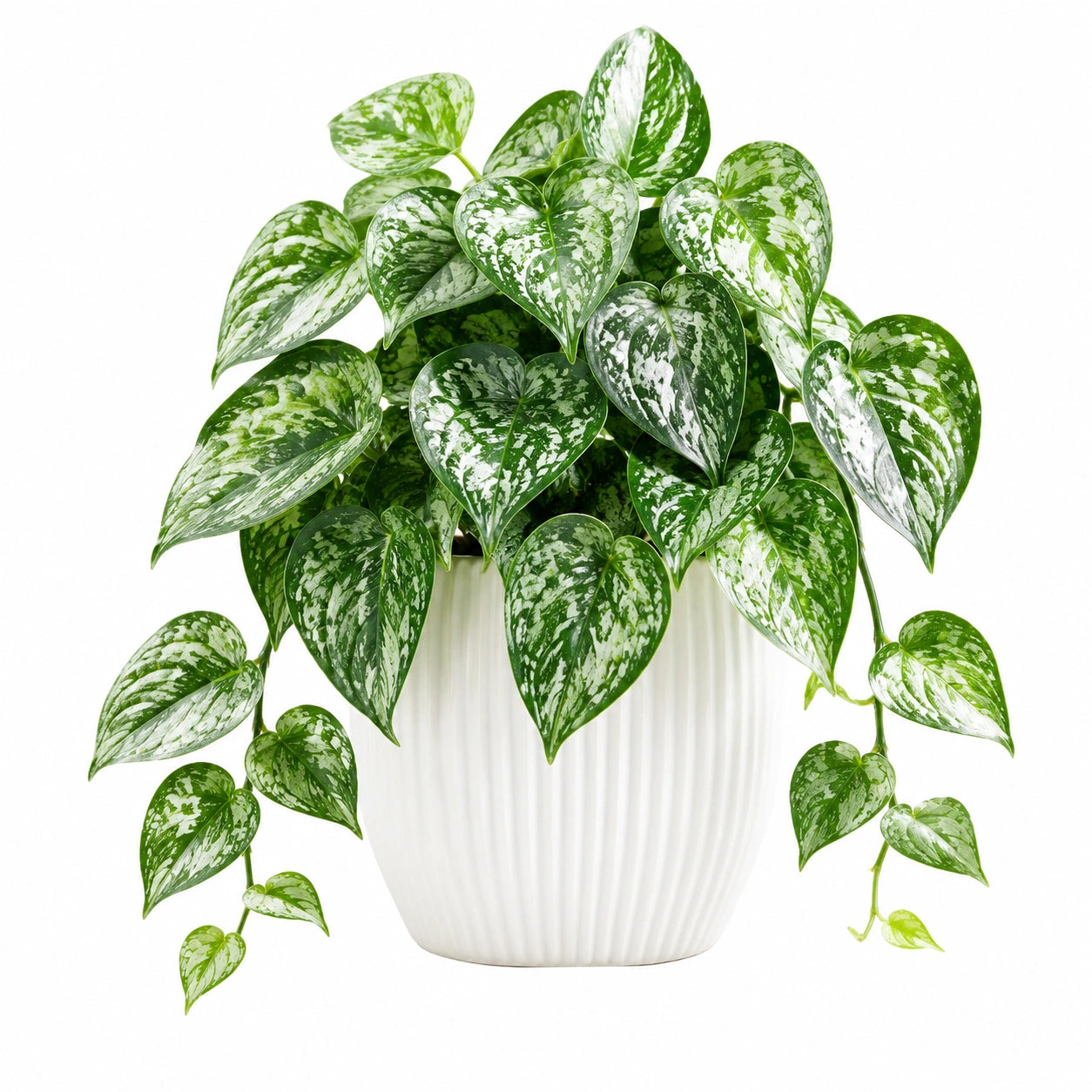 Plante verte artificielle 55 cm en plastique vert/blanc avec pot en céramique pour décoration intérieure